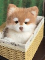 Handcrafted realistic Alaskan Malamute puppy  plush