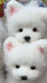Hand-crafted Realistic West Highland White Terrier Plush - Image 2