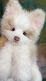 Handcrafted Lifelike Red Merle Border Collie Plush - Image 2