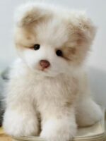 Handcrafted Lifelike Red Merle Border Collie Plush